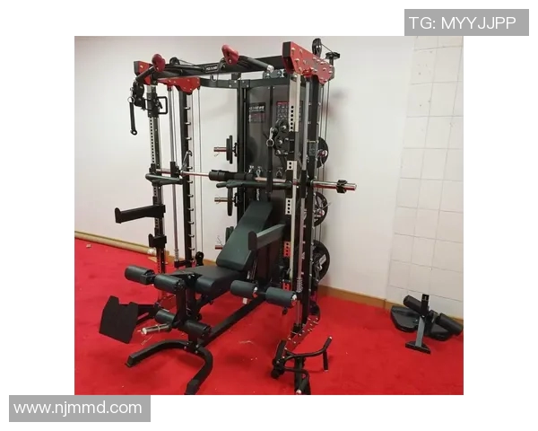 全面解析各种健身器材的功能与使用方法助你实现健康目标